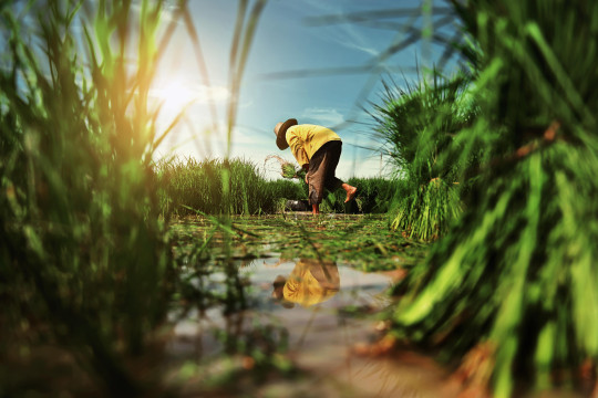 Proposed amendments/revision in the RR of Soil Survey Officer in SLUSI