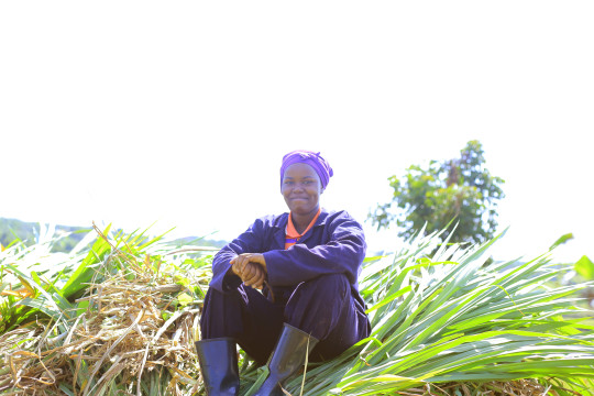 Farming at Rwentanga