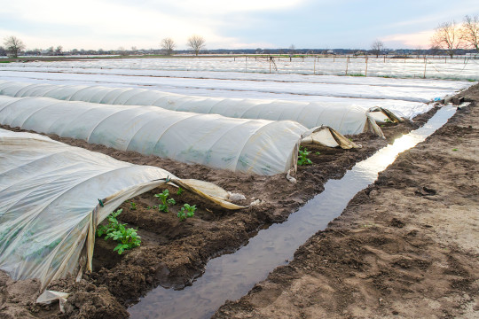 Antibiotic resistance